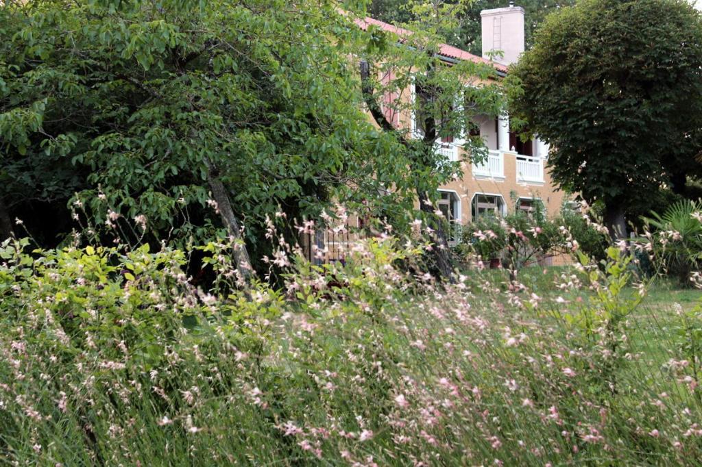 Maison Poche Caupenne-d'Armagnac Extérieur photo
